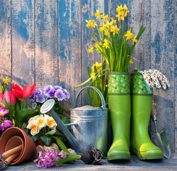 Garden Tools