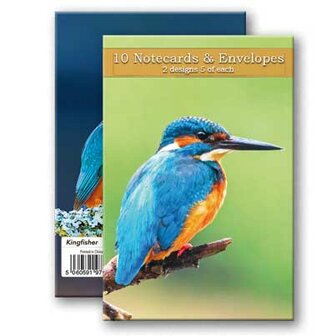 Kingfisher notecards