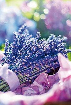 Lavender notecards