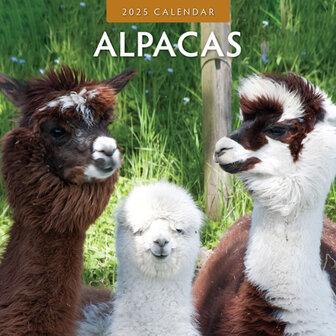 Alpacas kalender 2025