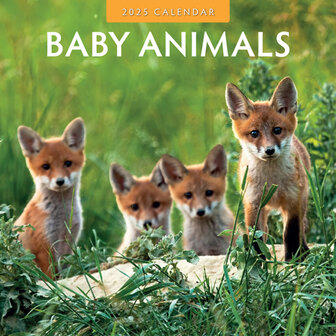 Baby Animals kalender 2025