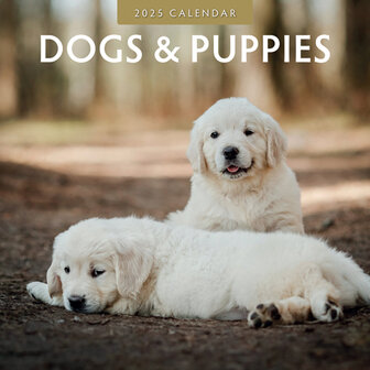 Dogs &amp; Puppies kalender 2025