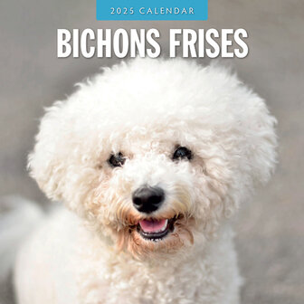 Bichons Frises kalender 2025