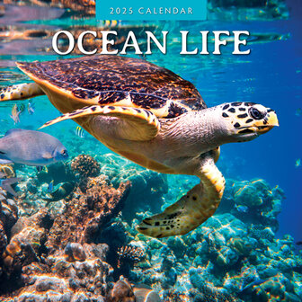 Ocean Life kalender 2025