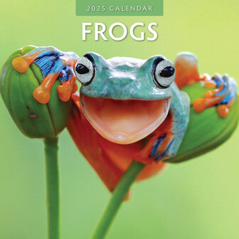 Frogs kalender 2025