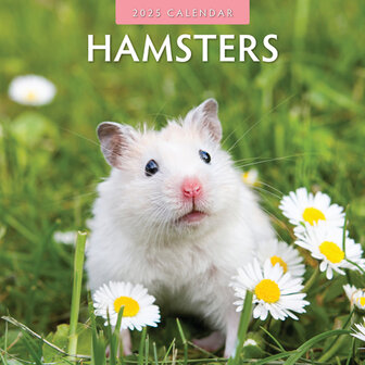 Hamsters kalender 2025