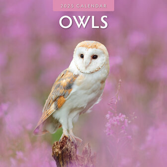 Owls kalender 2025