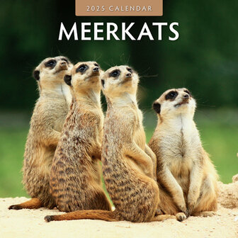 Meerkats kalender 2025