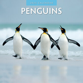 Penguins kalender 2025