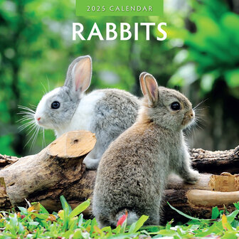 Rabbits kalender 2025