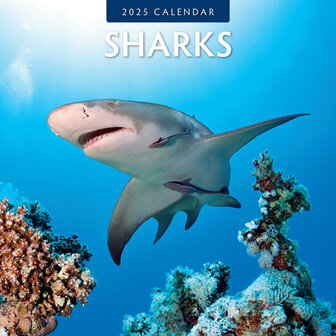 Sharks kalender 2025