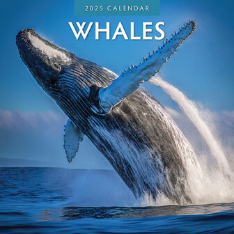 Whales kalender 2024