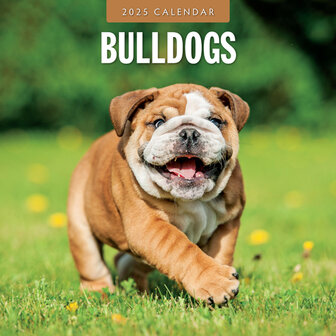 Bulldogs kalender 2025