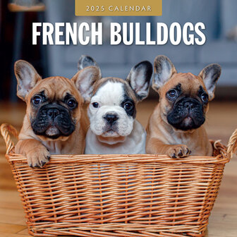 French Bulldogs kalender 2025