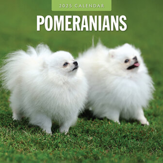 Pomeranian kalender 2025