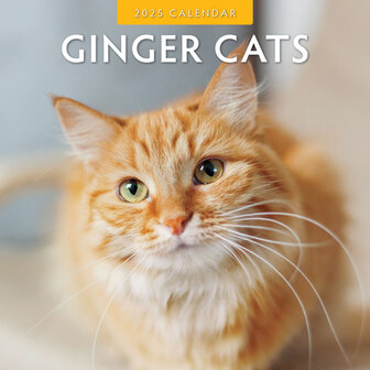 Ginger Cats kalender 2025