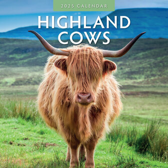 Highland Cows kalender 2025