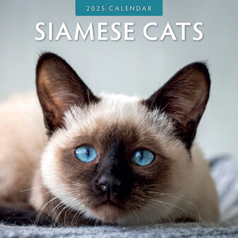 Siamese Cats kalender 2025