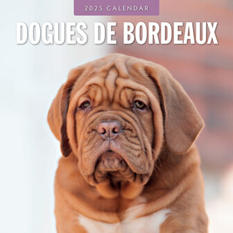 Dogues de Bordeaux kalender 2025