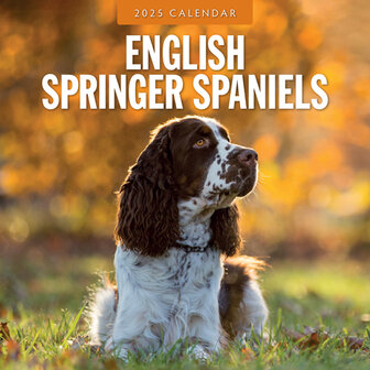 English Springer Spaniels kalender 2025