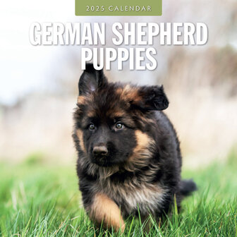 German Shepherd Puppies kalender 2025