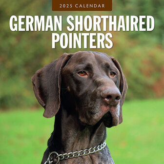 German Shorthaired Pointers kalender 2025