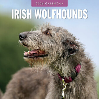 Irish Wolf Hounds kalender 2025