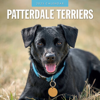 Patterdale Terriers kalender 2025