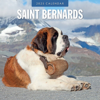 Saint Bernards kalender 2025