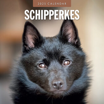 Schipperkes kalender 2025