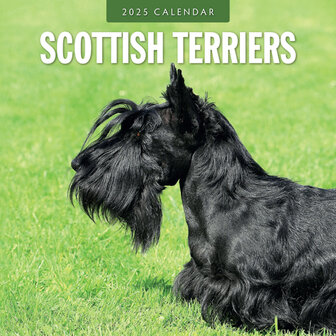 Scottish Terriers kalender 2025