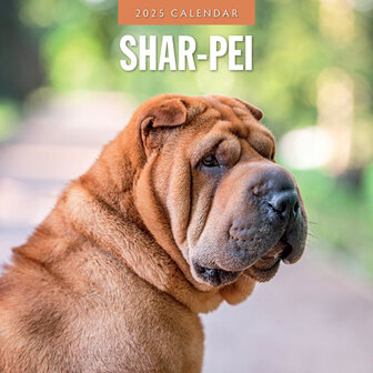 Shar-Pei kalender 2025