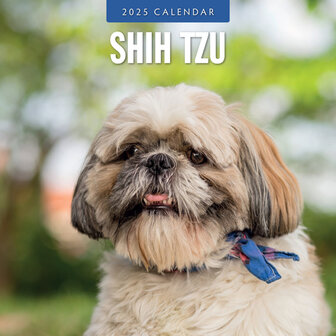 Shih Tzu kalender 2025