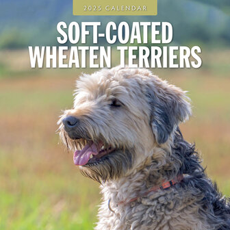 Soft-Coated Wheaten Terriers kalender 2025