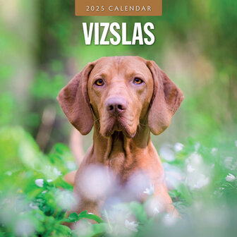 Vizslas Kalender 2025