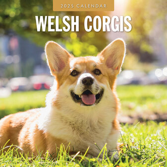 Welsh Corgis kalender 2025