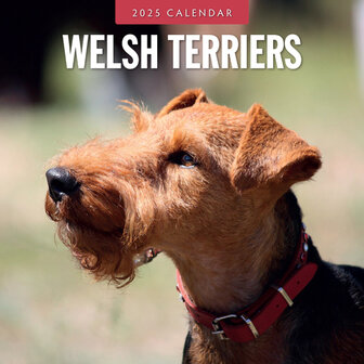 Welsh Terriers kalender 2025