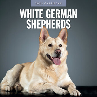 White German Shepherds kalender 2025