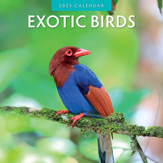 Exotic Birds kalender 2025