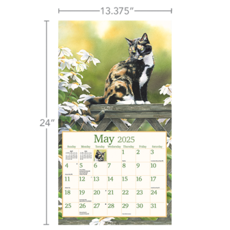 LANG Kalender 2025 Cats in the Country 