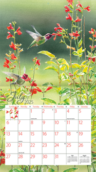 LANG Kalender 2025 Hummingbirds