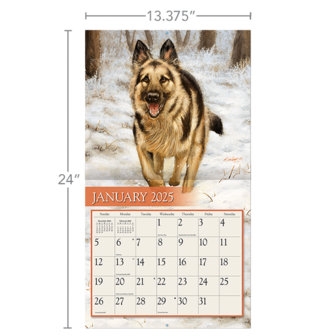 LANG Kalender 2025 Love of Dogs 