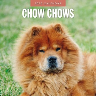 Chow Chows kalender 2025