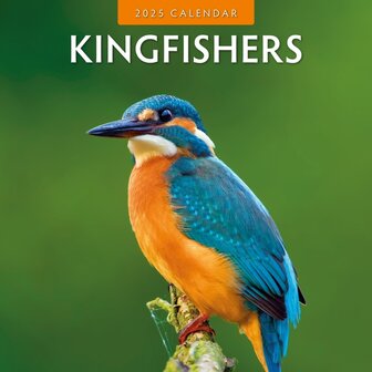 Kingfishers kalender 2025