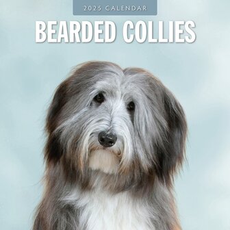 Bearded Collies kalender 2025