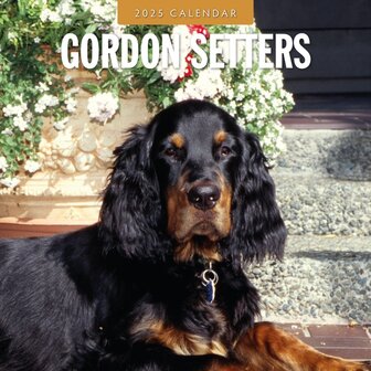 Gordon Setters kalender 2025