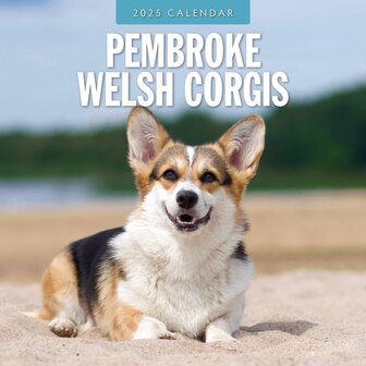 Pembroke Welsh Corgi kalender 2025