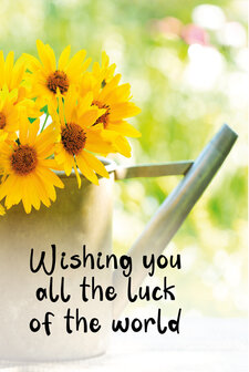 Wishing you all the luck..