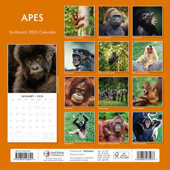 Apes kalender 2025