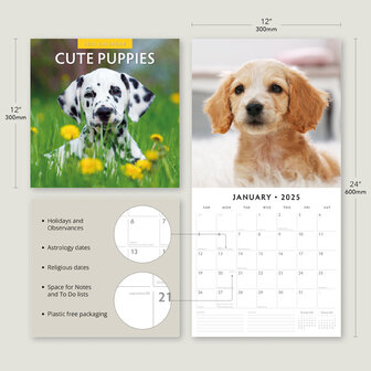 Cute Puppies kalender 2025